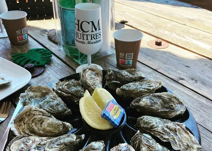 別荘 Maison 4 Personnes Avec Jardin, A 200 M De La